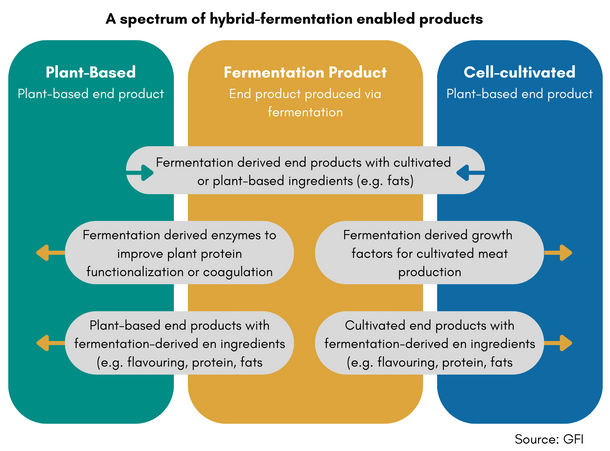 Scaling up plant protein production processes